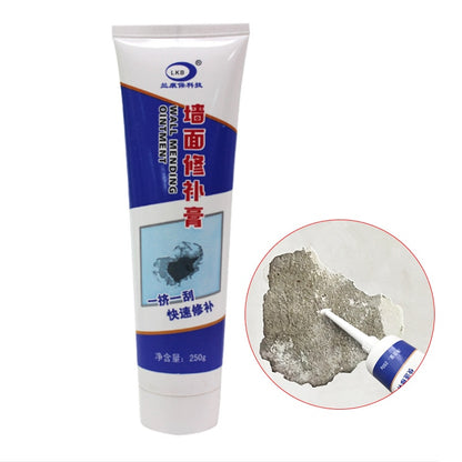 Wall Spackle Grout Mending Cream 250g by HitMyNeed