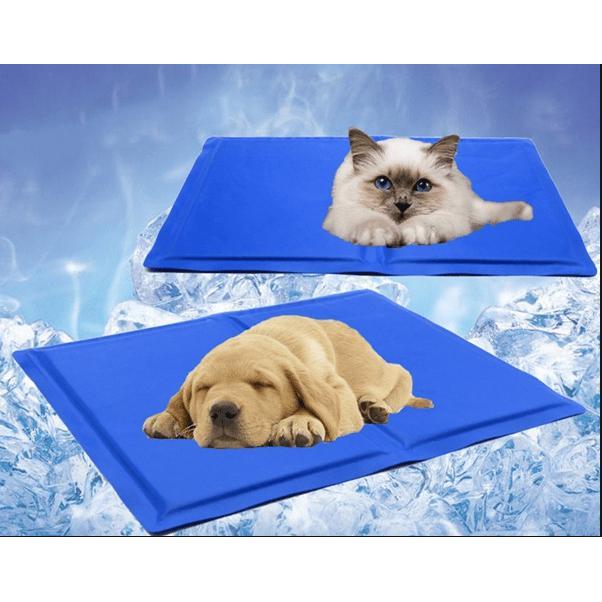 Water-Filled Cooling Pillow 50 x 40 cm by HitMyNeed