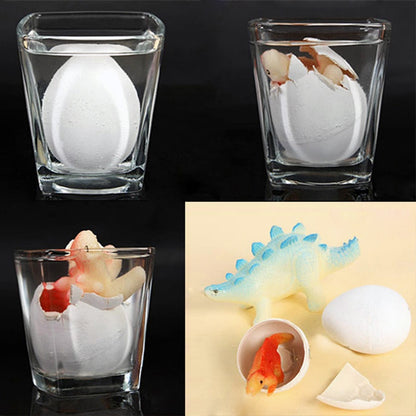 Water Hatching Dinosaur Egg Toy Set (5-Pack) by HitMyNeed