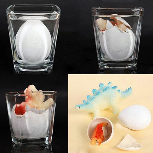 Water Hatching Dinosaur Egg Toy Set (5-Pack) by HitMyNeed