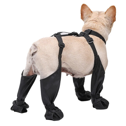 Waterproof Anti-Slip Dog Rain Boots for All Sizes l by HitMyNeed