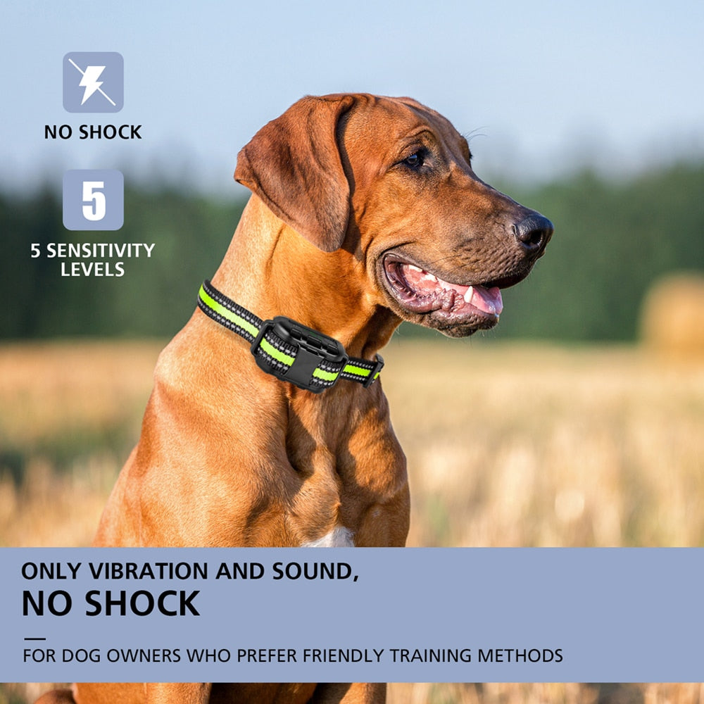 Waterproof Bark Control Training Collar for Dogs by HitMyNeed
