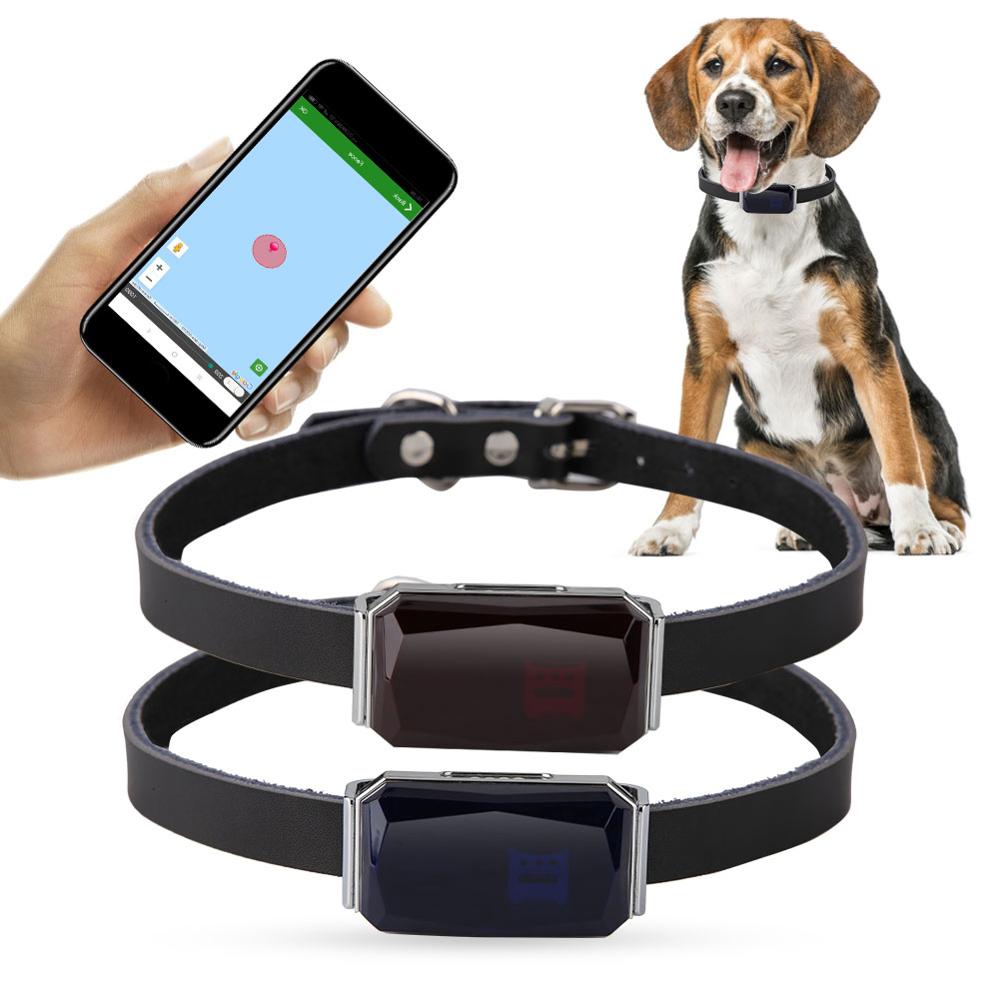 Waterproof GPS Dog Collar with 2G Tracking by HitMyNeed