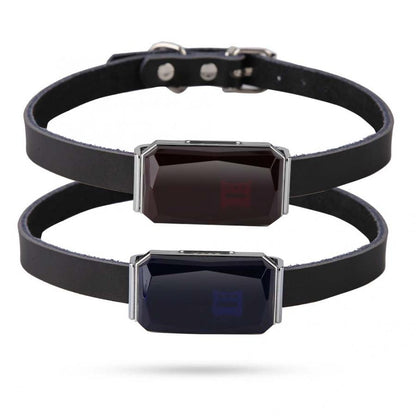 Waterproof GPS Dog Collar with 2G Tracking by HitMyNeed