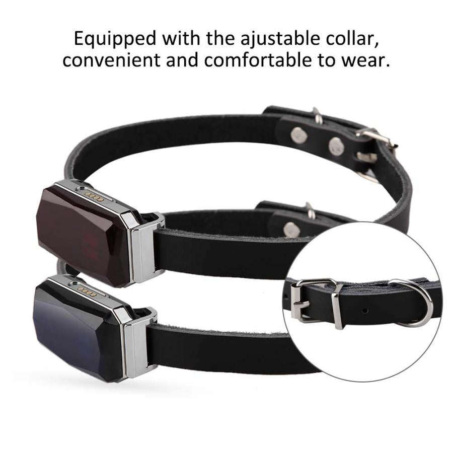 Waterproof GPS Dog Collar with 2G Tracking by HitMyNeed
