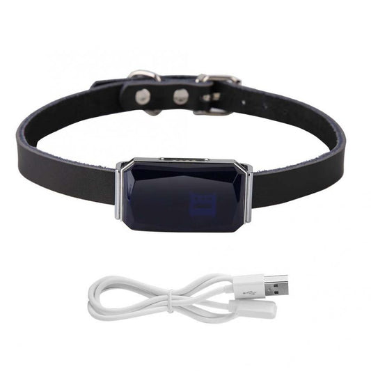 Waterproof GPS Dog Collar with 2G Tracking blue by HitMyNeed