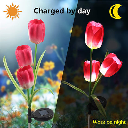 Waterproof Tulip Solar Garden Pathway Lights by HitMyNeed