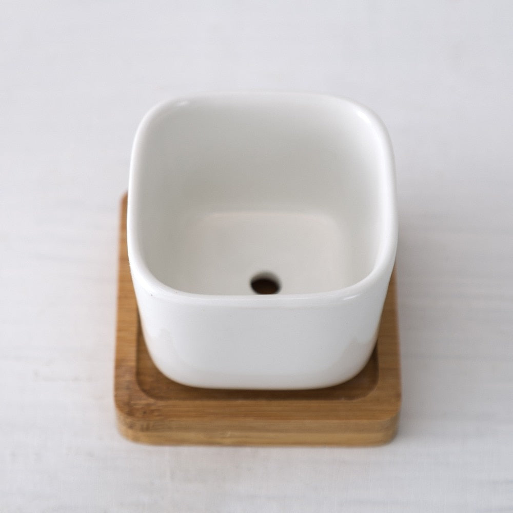 White Ceramic Mini Plant Pots with Bamboo Trays (2pcs) by HitMyNeed