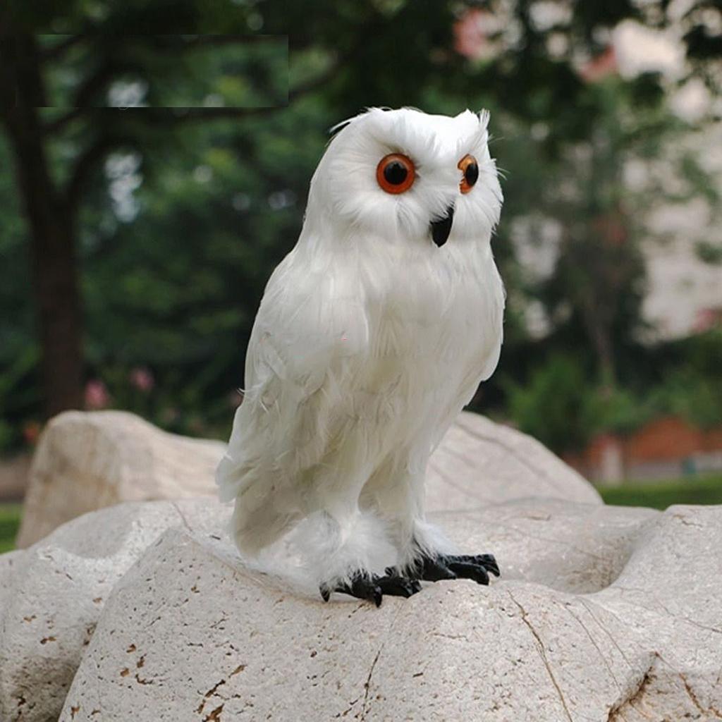 White Feathered Realistic Owl Garden Deterrent 30cm by HitMyNeed