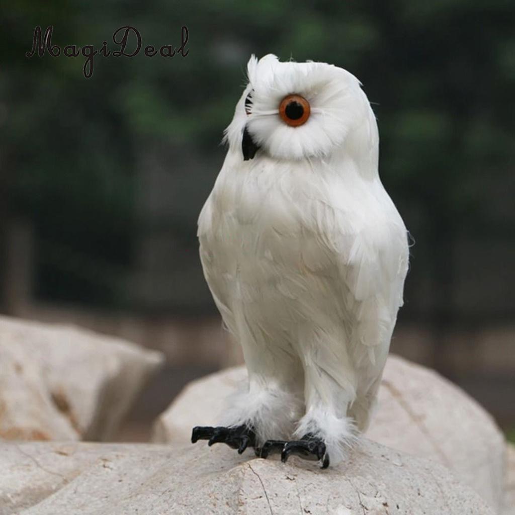 White Feathered Realistic Owl Garden Deterrent 30cm by HitMyNeed