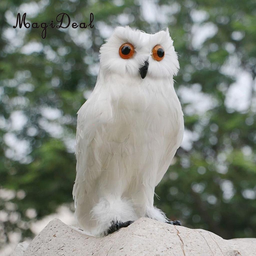 White Feathered Realistic Owl Garden Deterrent 30cm by HitMyNeed