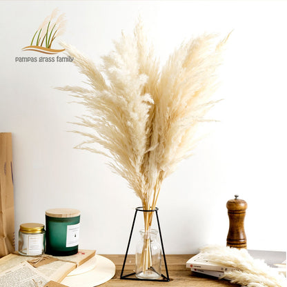 White Pampas Grass Stems Decoration (10 Pack) by HitMyNeed