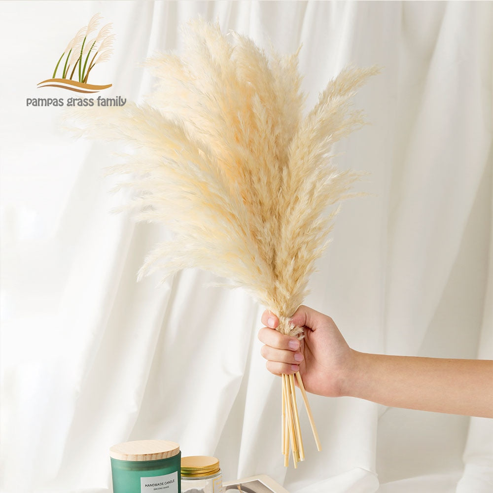 White Pampas Grass Stems Decoration (10 Pack) by HitMyNeed
