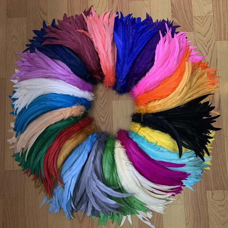 Wholesale 500pcs Color Rooster Tail Feathers 25-45cm by HitMyNeed