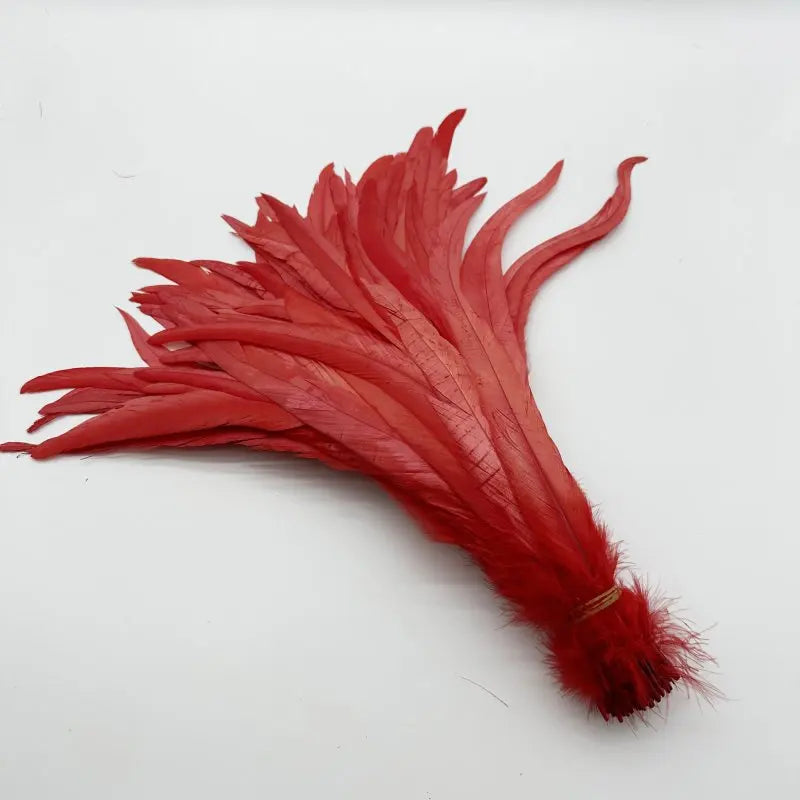 Wholesale 500pcs Color Rooster Tail Feathers 25-45cm by HitMyNeed