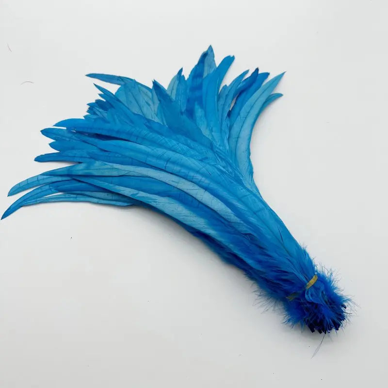 Wholesale 500pcs Color Rooster Tail Feathers 25-45cm by HitMyNeed