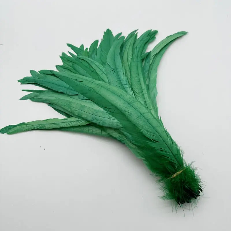 Wholesale 500pcs Color Rooster Tail Feathers 25-45cm by HitMyNeed
