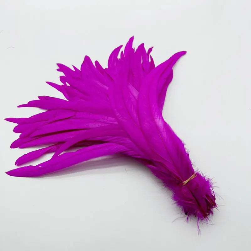 Wholesale 500pcs Color Rooster Tail Feathers 25-45cm by HitMyNeed