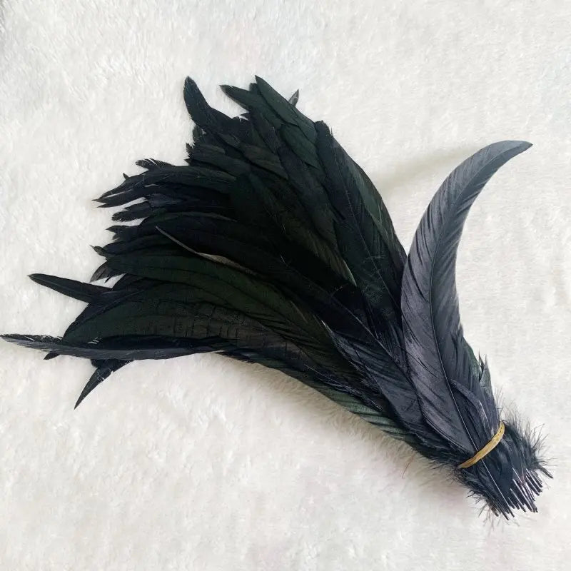 Wholesale 500pcs Color Rooster Tail Feathers 25-45cm black 40-45cm by HitMyNeed
