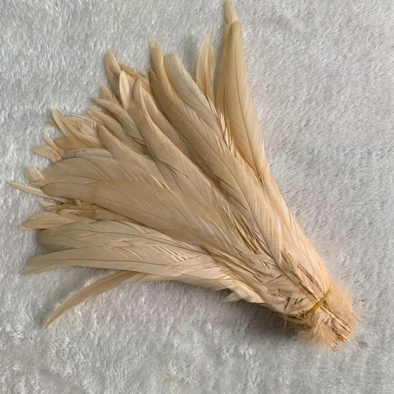 Wholesale 500pcs Color Rooster Tail Feathers 25-45cm champagne 40-45cm by HitMyNeed