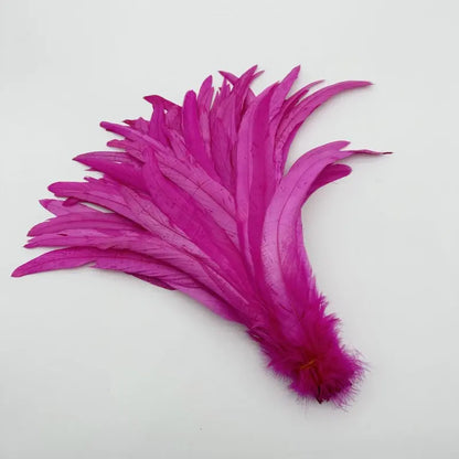 Wholesale 500pcs Color Rooster Tail Feathers 25-45cm peach-red 25-30cm by HitMyNeed