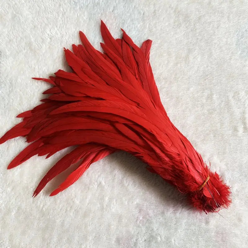 Wholesale 500pcs Color Rooster Tail Feathers 25-45cm red 40-45cm by HitMyNeed