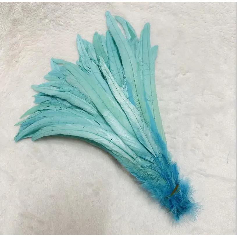 Wholesale 500pcs Color Rooster Tail Feathers 25-45cm water-blue 25-30cm by HitMyNeed