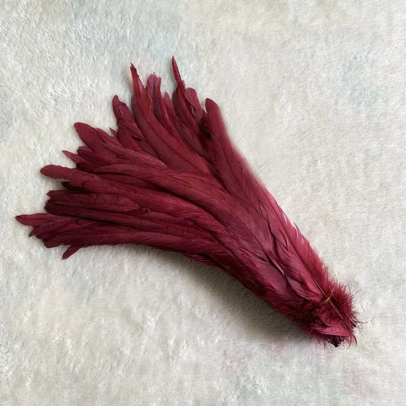 Wholesale 500pcs Color Rooster Tail Feathers 25-45cm wine-red 40-45cm by HitMyNeed
