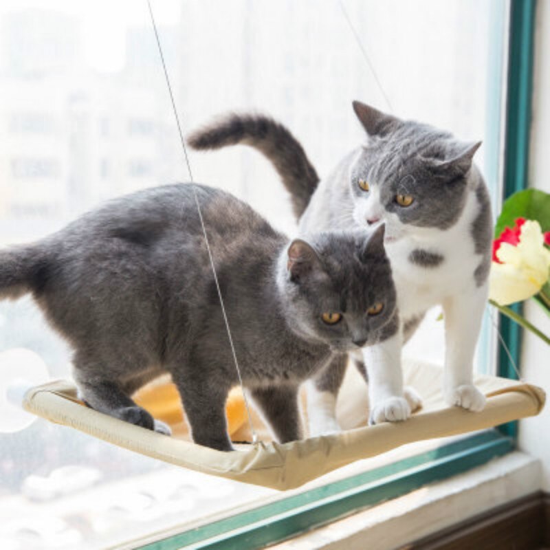 Window Cat Hammock Seat with Strong Suction Cups by HitMyNeed