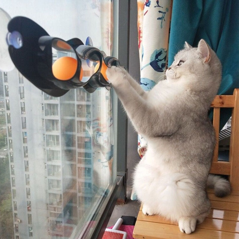 Window Suction Cat Track Toy with Rolling Balls by HitMyNeed
