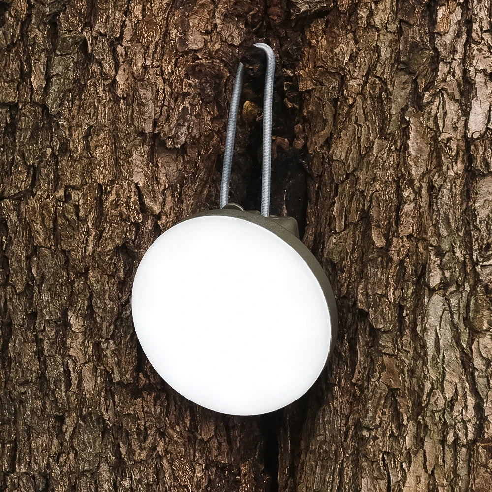 Wireless Carp Fishing Alarm Set with Camping Light S7-4D by HitMyNeed