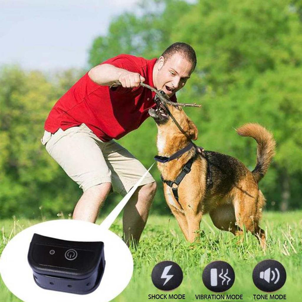 Wireless Dog Fence Collar with Remote Controller by HitMyNeed