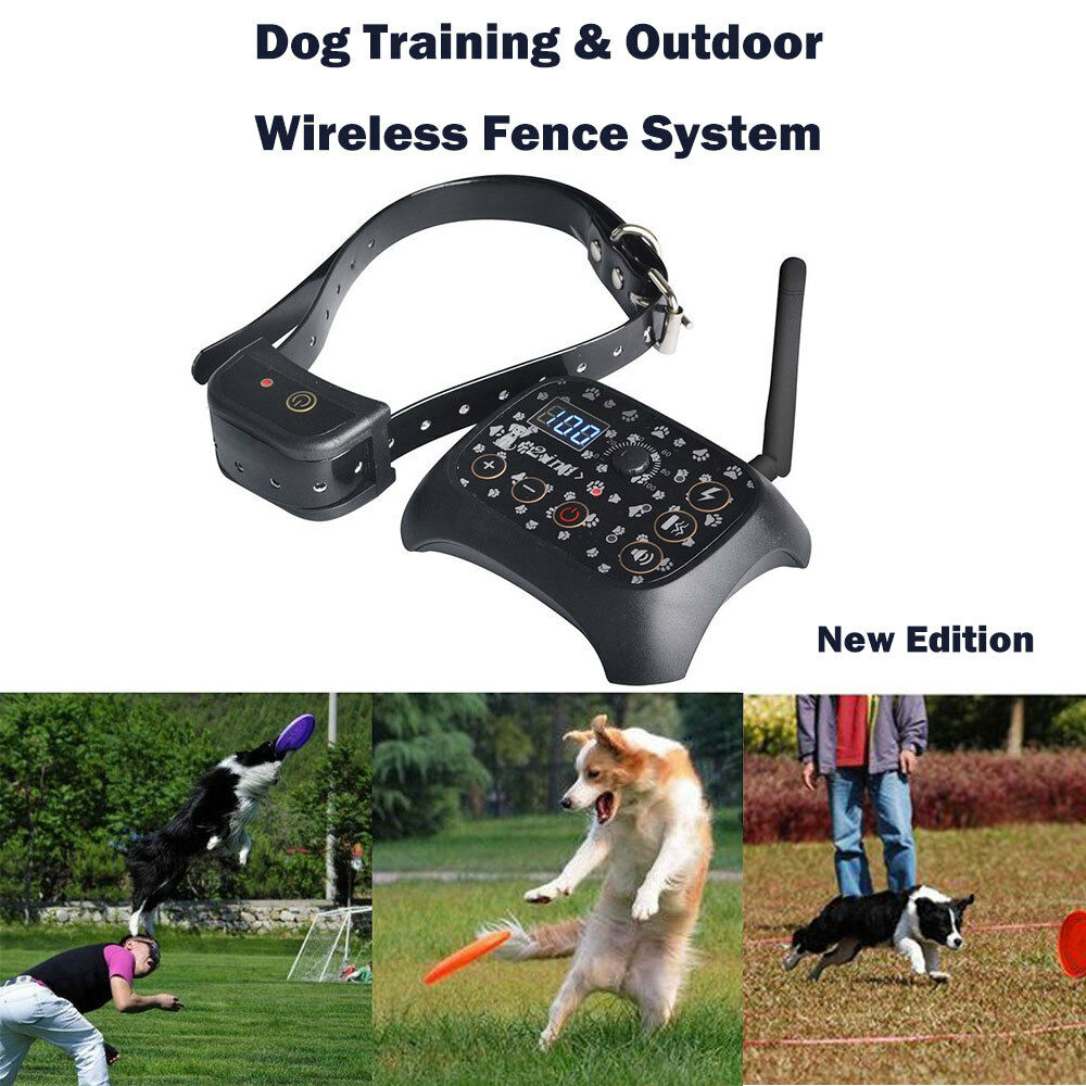 Wireless Dog Fence Collar with Remote Controller by HitMyNeed