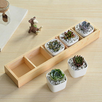 Wooden 5-Grid Succulent Plant Display Tray by HitMyNeed