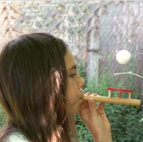 Wooden Blow Floating Ball Toy for Kids by HitMyNeed