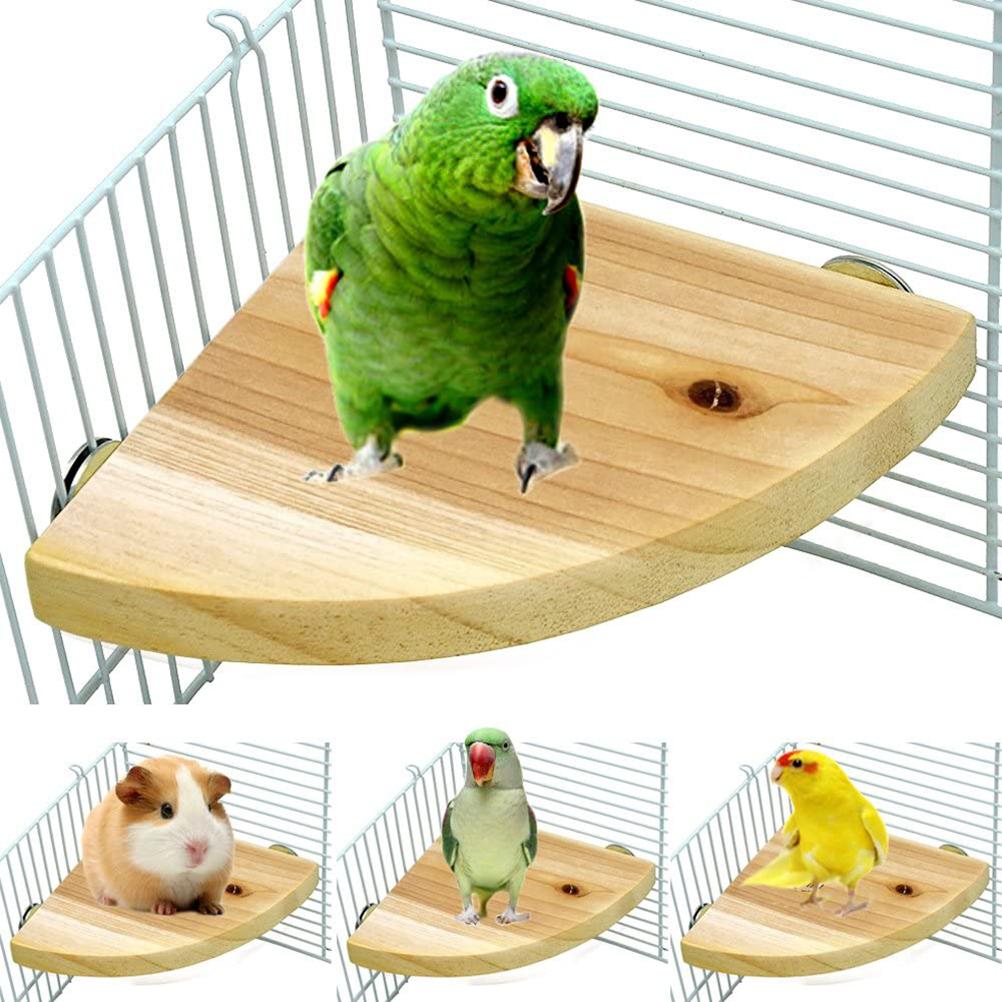Wooden Corner Flat Perch for Bird Cages by HitMyNeed
