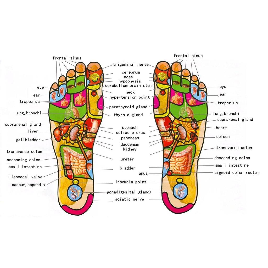 Wooden Foot Roller Massager for Sore Feet Relief by HitMyNeed