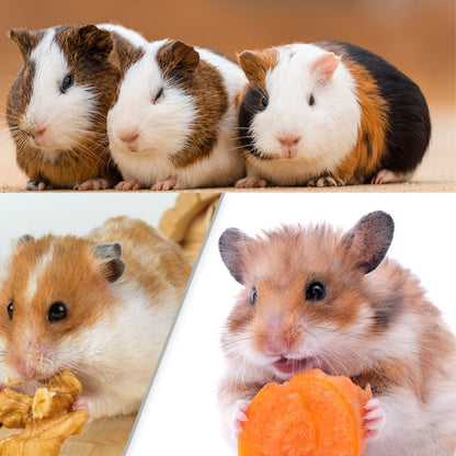 Wooden Hamster Maze Box with 16 Holes by HitMyNeed