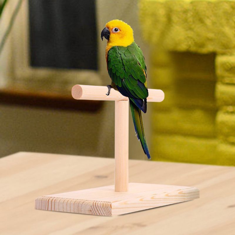 Wooden Parrot Training Perch Stand for Birds by HitMyNeed