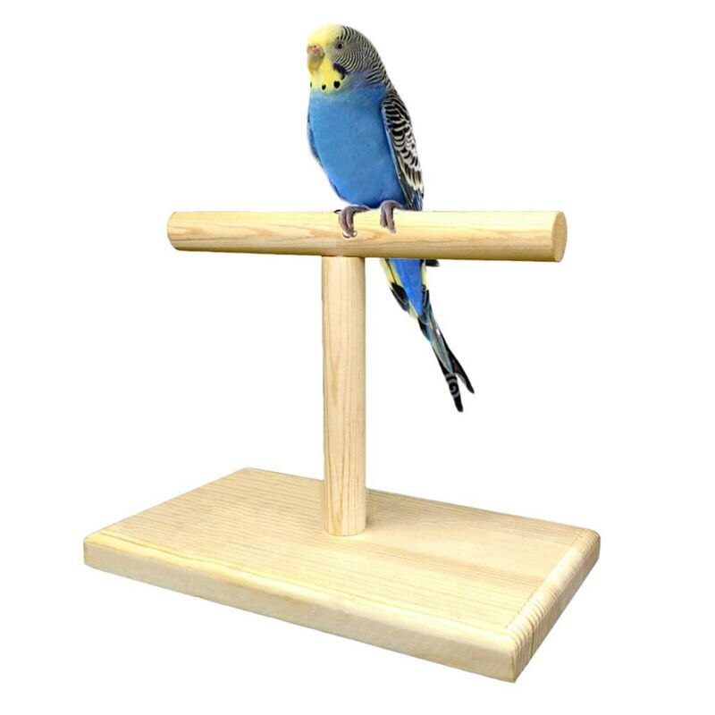 Wooden Parrot Training Perch Stand for Birds by HitMyNeed