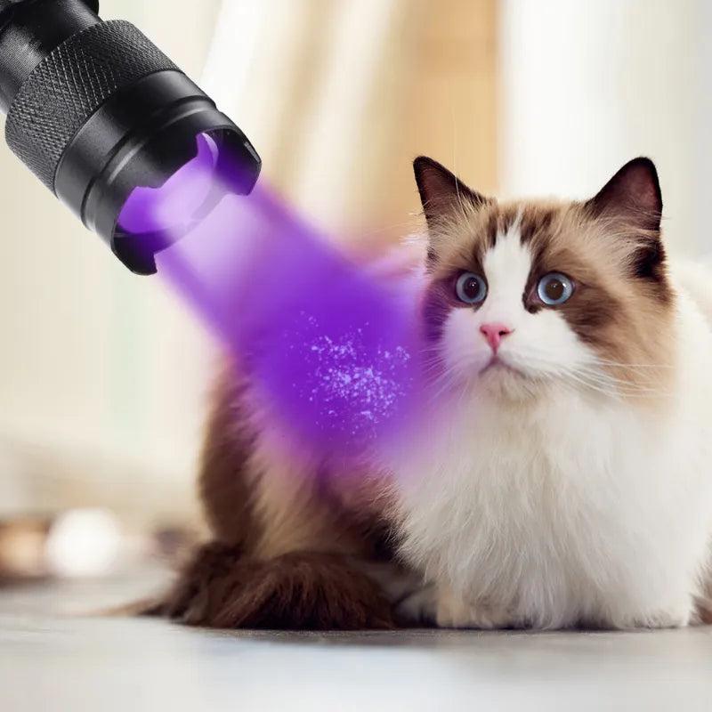 Zoomable 395nm UV Flashlight for Stain & ID Detection by HitMyNeed