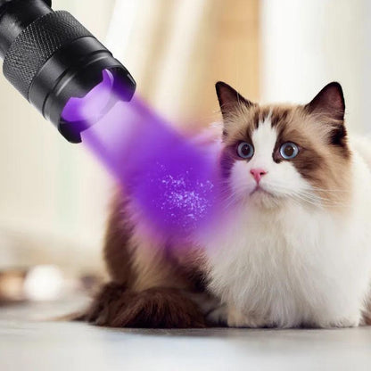 Zoomable 395nm UV Flashlight for Stain & ID Detection by HitMyNeed